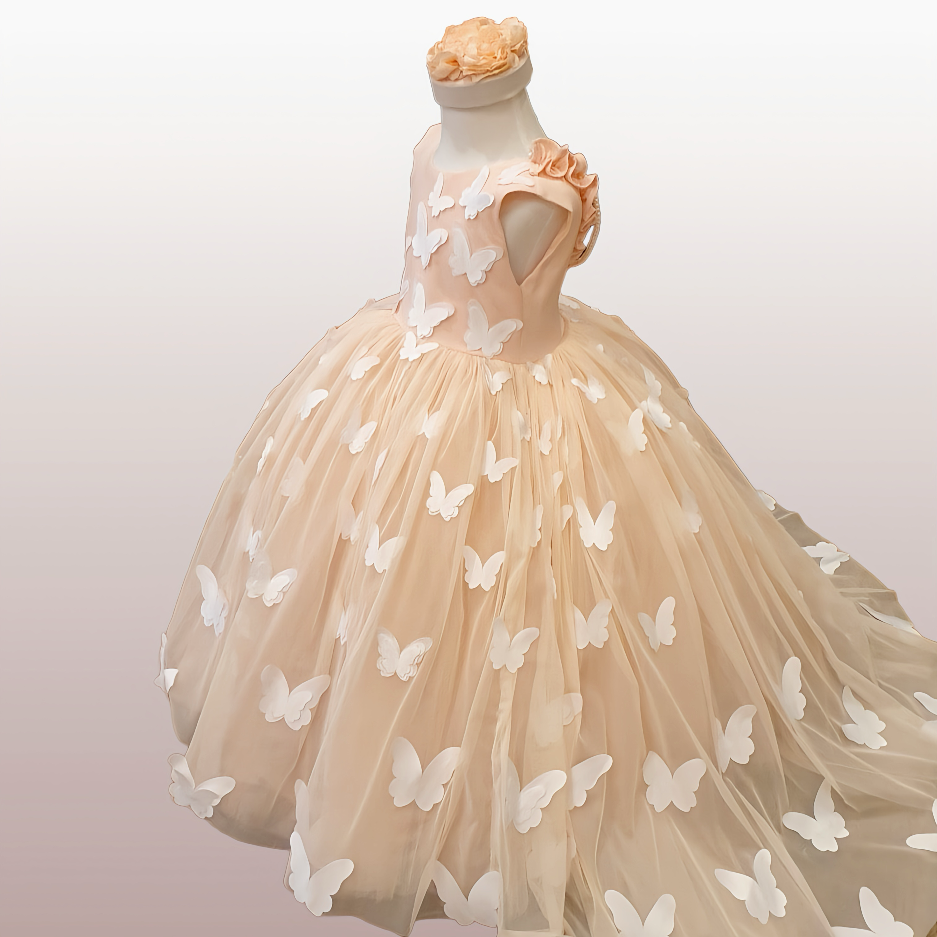 Peach Butterfly Gown