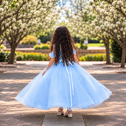 Rosalie Blue Pearl Princess Dress - Crown Kids